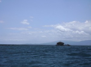 Jamaica Pelican Bar 5 Reasons to Visit St. Elizabeth - Pelican Bar