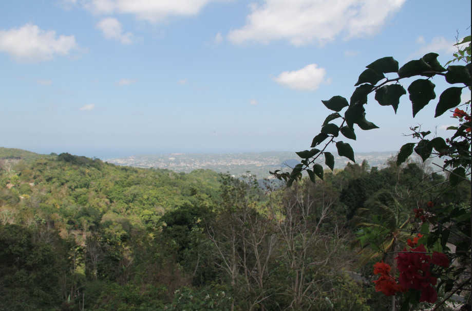 Montego Bay seen from Ahhh...Ras Natango Garden View from Ahhh...Ras Natango