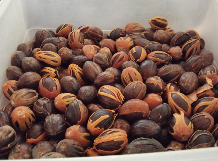 5 Ingredients that fire up Jamaican cuisine