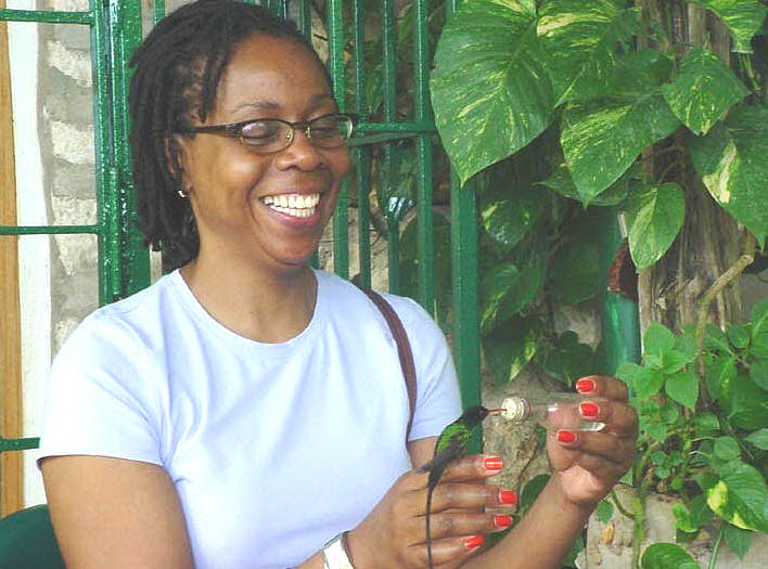 Screen shot 2012-05-09 at 5.16.07 PM Jamaica's Also Great for Bird Watching - Hummingbird at Rockland Bird Sanctuary