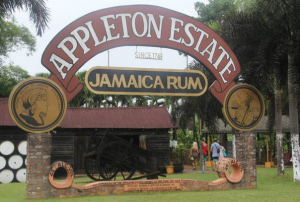 Screen shot 2012-06-13 at 1.58.06 PM 5 Reasons to Visit St. Elizabeth: Appleton Estate & Rum Distillery