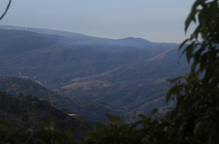 Blue Mountains