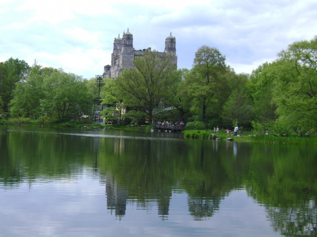 NYC 5 Central Park