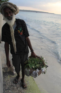 Herb vendor, Negril
