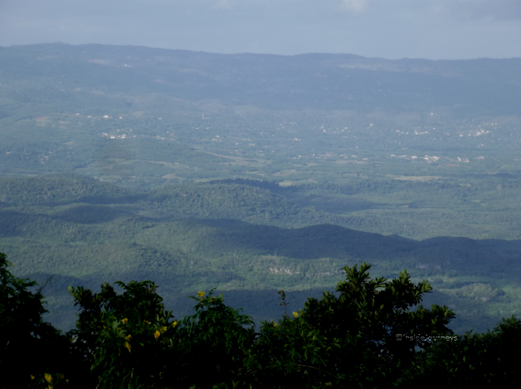 What Does Spur Tree Mean at Betty Rees blog