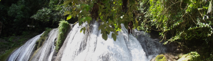 Reach Falls, Portland