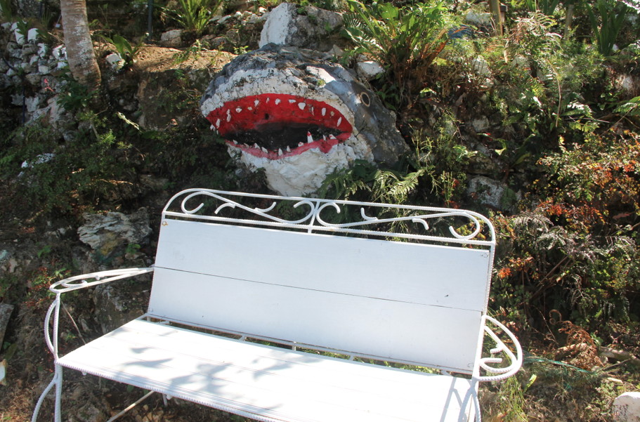 Shark's head painted on a rock Rock painting of a shark's head at Ahhh...Ras Natango Garden