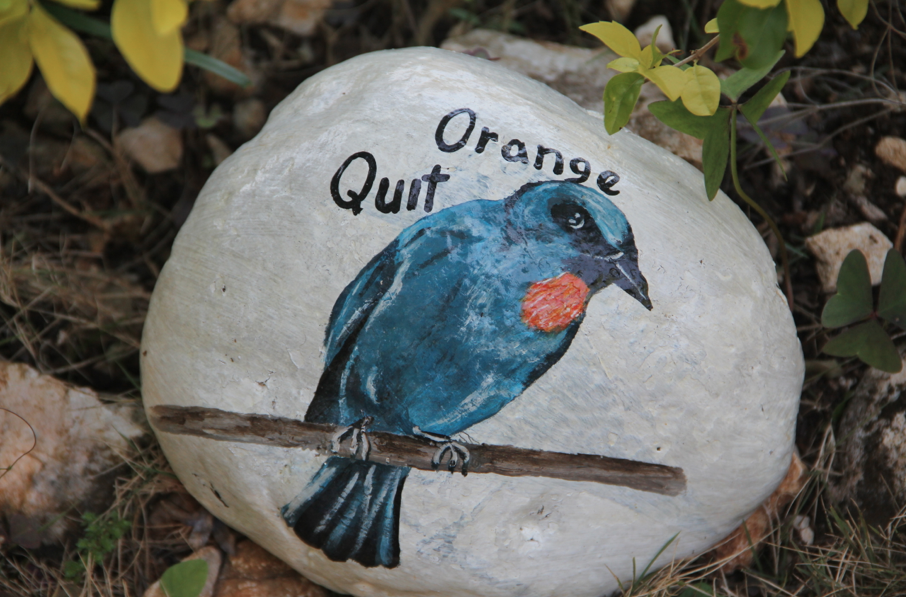 Orange Quit painted on a rock Rock painting of the Jamaican Orange Quit bird at Ahhh...Ras Natango Gallery