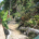 Screen Shot 2013-05-15 at 6.41.18 PM Garden at Ahhh...Ras Natango