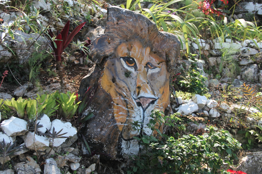 Lion's head painted on a rock Rock painting of a lion's head at Ahhh...Ras Natango Garden