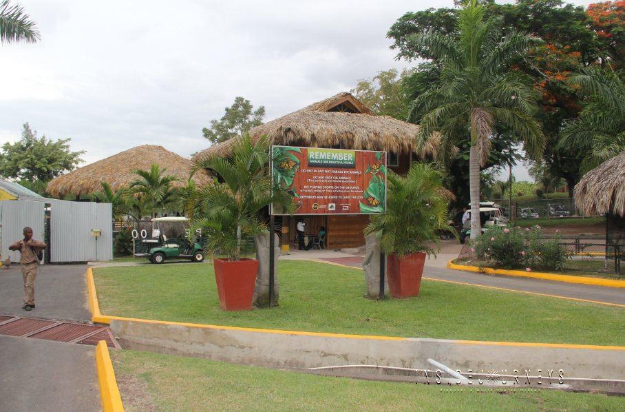 A Few Photos from Hope Zoo Jamaica InsideJourneys