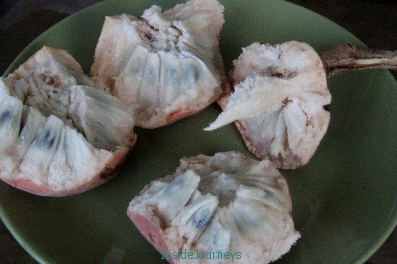 Custard Apple