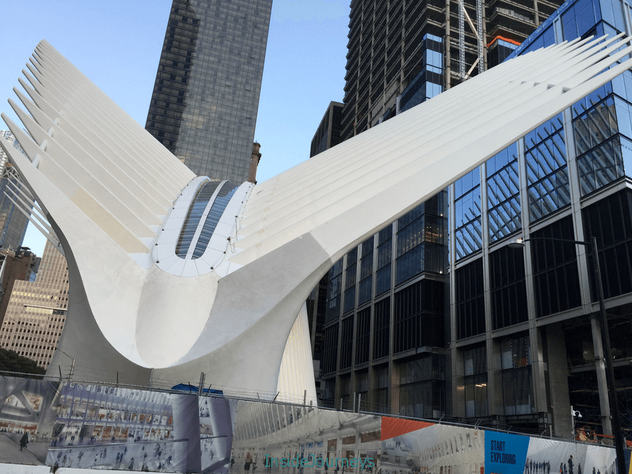 The Oculus, a bird