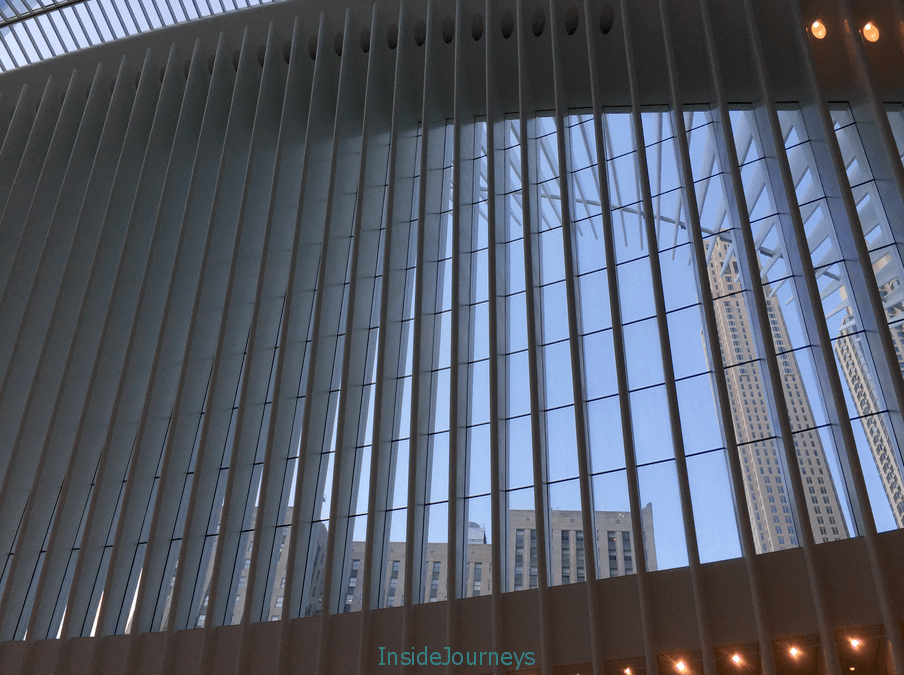 The Oculus, leaves