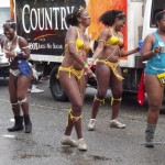Bacchanal 2012, Jamaica Carnival